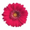 Budget 🔔 Next Innovations Pink Daisy Flower Wall Art 🛒
